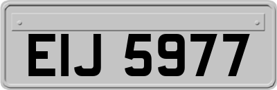 EIJ5977