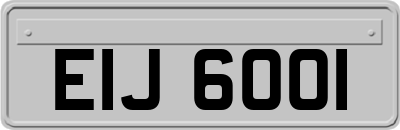EIJ6001