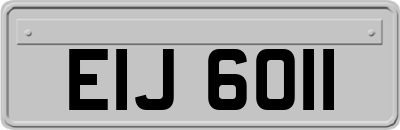 EIJ6011