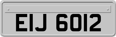 EIJ6012