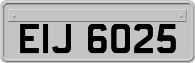 EIJ6025