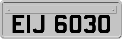 EIJ6030