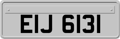 EIJ6131