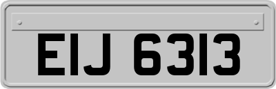 EIJ6313