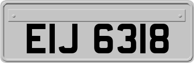 EIJ6318