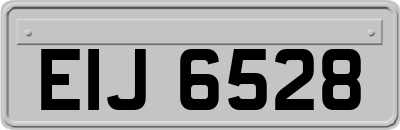 EIJ6528