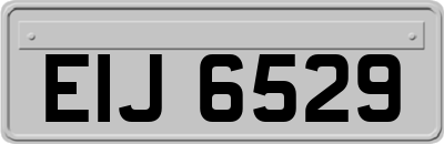 EIJ6529