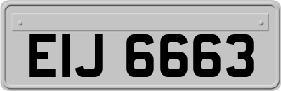 EIJ6663