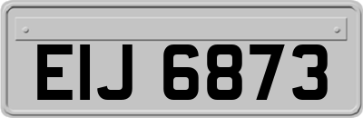 EIJ6873