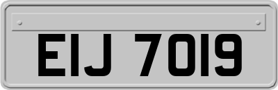 EIJ7019