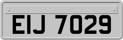 EIJ7029
