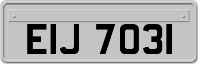 EIJ7031