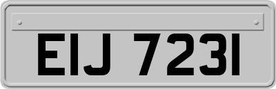 EIJ7231