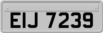 EIJ7239