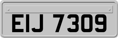 EIJ7309