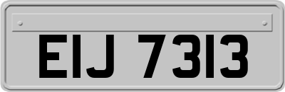 EIJ7313