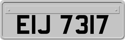 EIJ7317