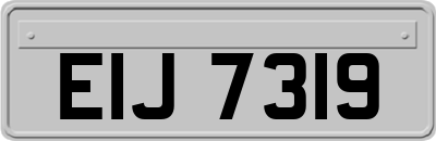 EIJ7319