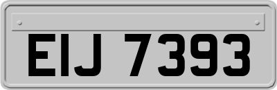 EIJ7393