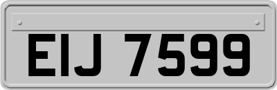 EIJ7599