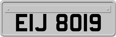 EIJ8019