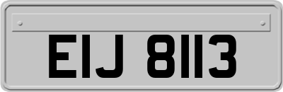 EIJ8113