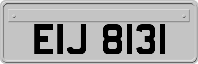 EIJ8131