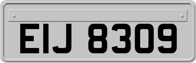EIJ8309