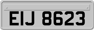 EIJ8623
