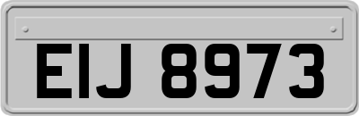 EIJ8973