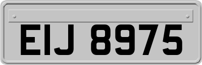 EIJ8975