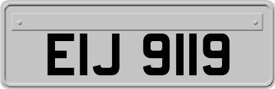 EIJ9119