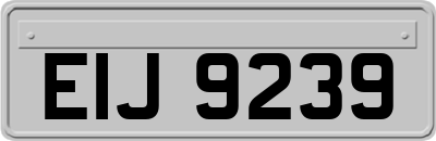 EIJ9239