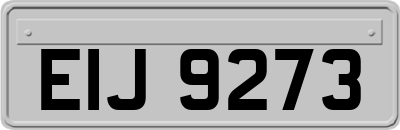 EIJ9273