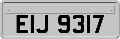 EIJ9317