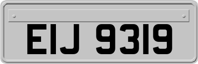 EIJ9319