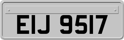 EIJ9517