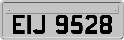 EIJ9528