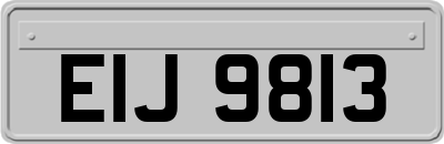 EIJ9813