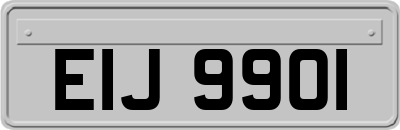 EIJ9901