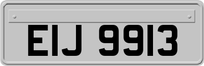 EIJ9913