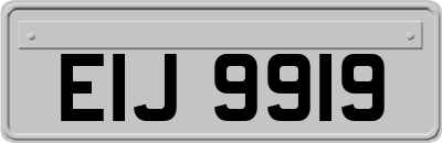 EIJ9919