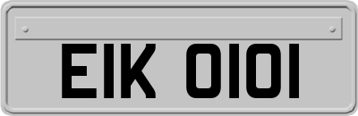 EIK0101