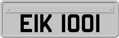 EIK1001