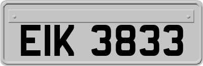EIK3833