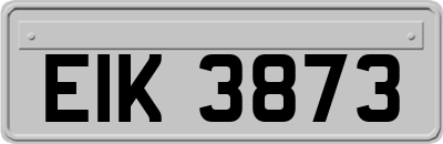 EIK3873