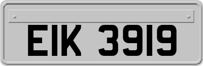 EIK3919