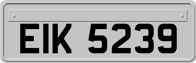 EIK5239