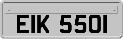 EIK5501