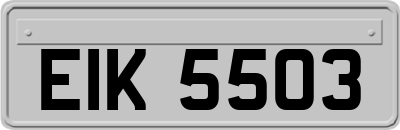 EIK5503